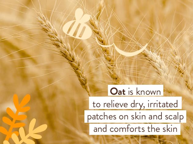 Babo Botanicals Moisturizing Oat & Calendula 2-in-1 Bubble Bath & Wash - for Dry or Sensitive Skin - for All Ages - Vegan - Lightly Scented - 1 or 2 Pack