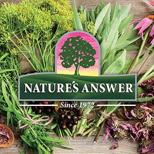 Nature's Answer Periobrite Natural Toothpaste, Cool Mint, 4 Ounce, 3 Count